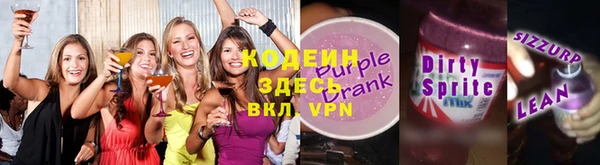 шишки Каменка