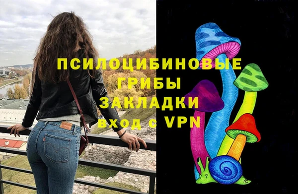 шишки Каменка