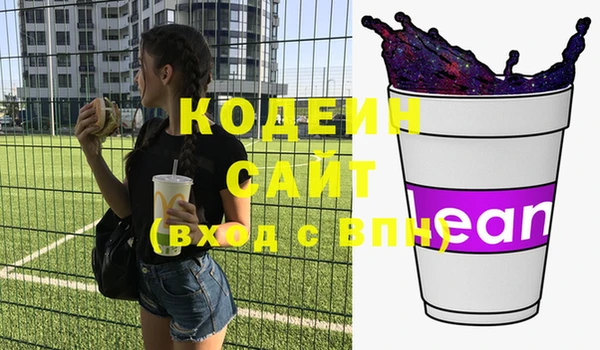 шишки Каменка