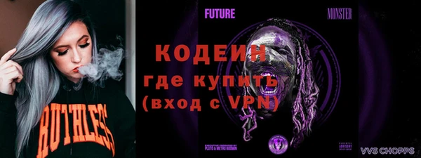 шишки Каменка