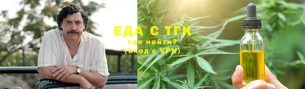 шишки Каменка