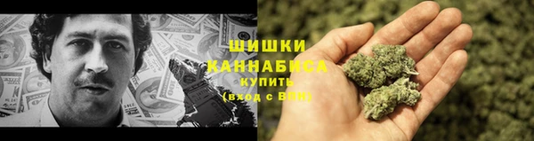 шишки Каменка