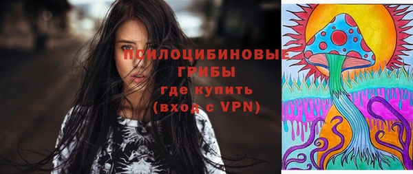 шишки Каменка