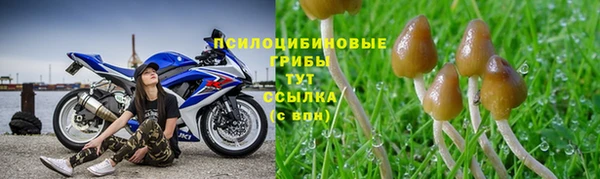 альфа пвп Карталы