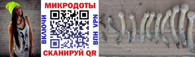 Купить закладки Губаха Псилоцибиновые грибы Magic Shrooms